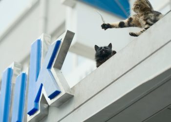 top resume keywords for ats