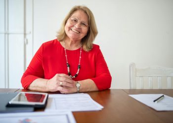 professional work experience resume