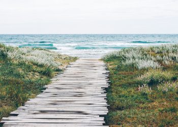 ai engineer career path