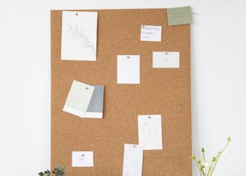 graphic designer resume examples