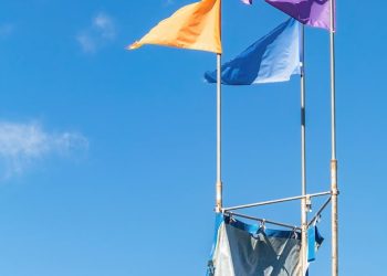 free resume templates for graphic designers