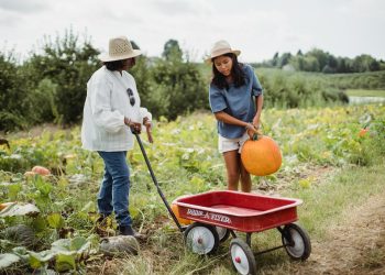 regional job market sustainability
