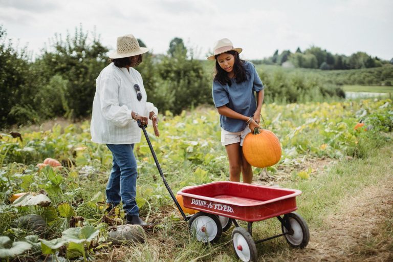 regional job market sustainability