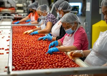 automation in the workforce