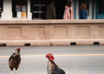 work ethic behaviors at work